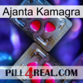 Ajanta Kamagra 15